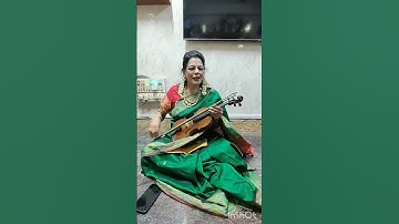 Exquisite bowing precision and virtuosic artistry #drmnarmadhs