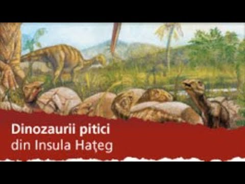 Video: Insula Pitici Dinozaur - Vedere Alternativă