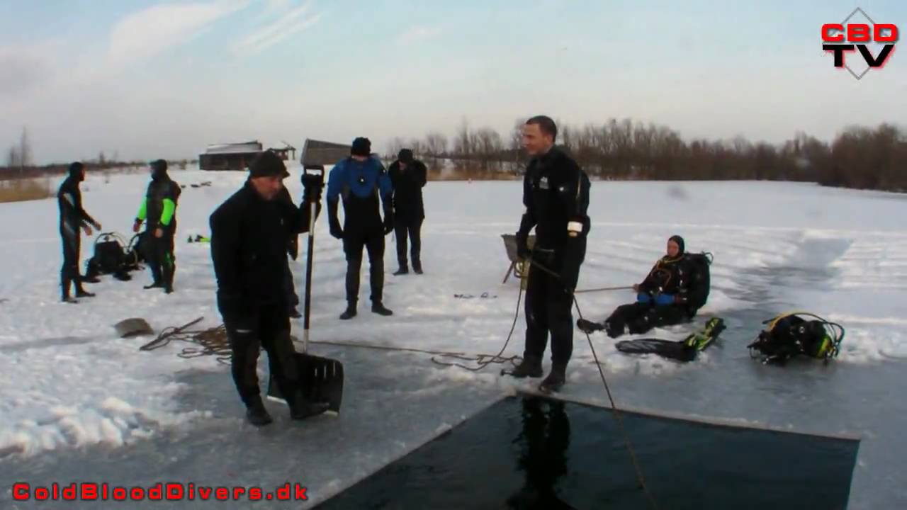 Ice Diving at Davinde lake in denmark - isdykning i Davinde sø - Cold Blood Divers
