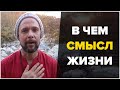 В ЧЕМ СМЫСЛ ЖИЗНИ. АРТЕМ ИВА. БУАГИР