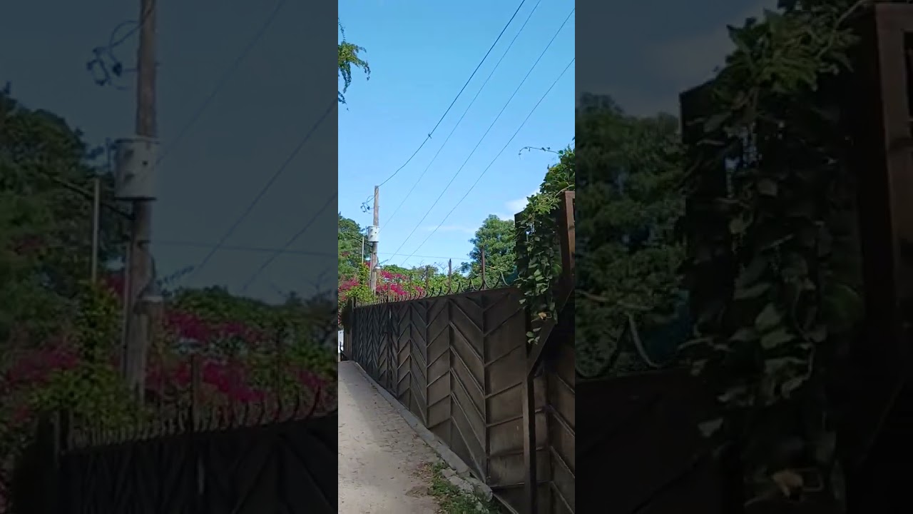 Explore my discernment and coolness as a awaken piece of light