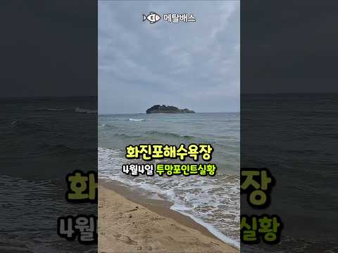 화진포해수욕장 바다투망포인트 실황, 갯은 막힌상태에서 파도는 투망치기 좋은데 고기는 안보임, 고성 동해바다 화진포해변 바다투망달인성지, castnet, fishing, pesca