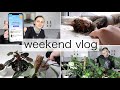 WEEKEND VLOG | Cleo update & how I water my plants