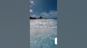 القران الكريم لي راحة البال