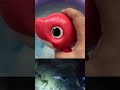 Ocean Animals for Kids 🐬 | Learn Sea Creature Names &amp; Fun Facts | Educational Toddler Video with Toy