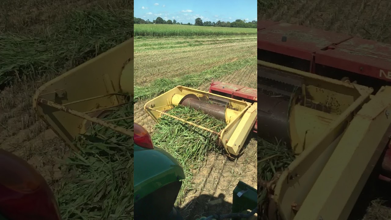 Chopping hay grazer 2017 YouTube