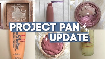 PROJECT PAN UPDATE #2 | march check-in