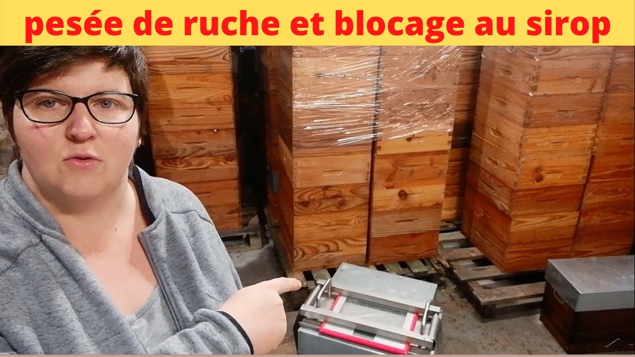 pesée des ruches et blocage pour l'hivernage