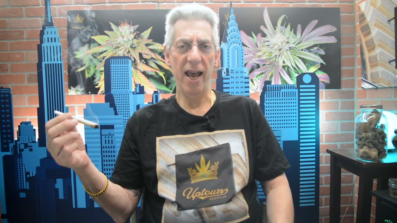 Chem Pie OG Cannabis Strain Review