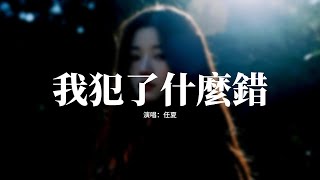 任夏 - 我犯了什麼錯『關關難過卻關關都要過，唯獨情關最最讓人折磨，該流的淚流乾了該傷的心傷透了，受盡委屈的人明明是我。』【動態歌詞MV】