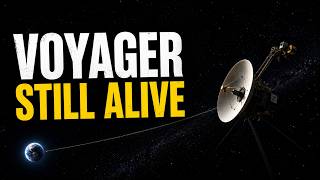 Launched in 1977: Why Voyager 1 &amp; 2 Will Outlive the Human Race