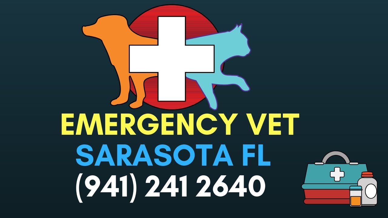 24 Hour Emergency Vet Sarasota FL | Emergency Pet Hospital Sarasota  (941) 241 2640