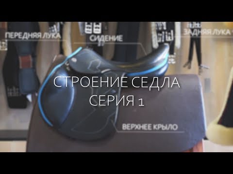 ВСЁ О СЁДЛАХ: СТРОЕНИЕ СЕДЛА