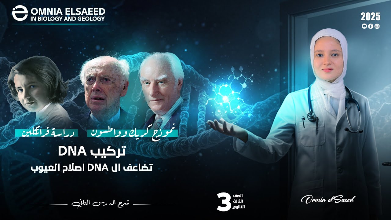 شرح تركيب DNA - تضاعف DNA واصلاح العيوب 2025