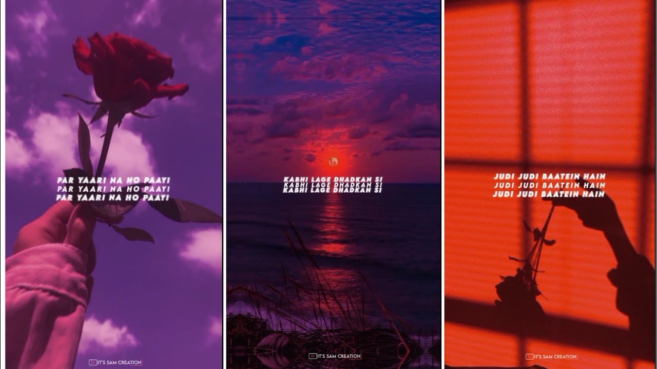 Zindagi Tere Rango 🌈 Se Rangdaari Na Ho ❤️ Paayi | WhatsApp Status | Rangdaari WhatsApp Status