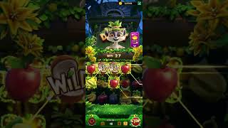 Yono rummy today new lunch slots 