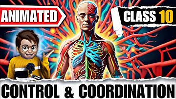 Control And  Coordination class10🔥 / Chapter6 Biology / Animated Video / Full (हिंदी में) Explained
