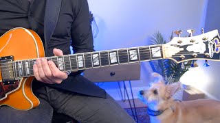 When your dog weighs in on your Altered Scales