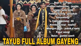 TAYUB FULL ALBUM GAYENG TERBARU 2026 P P APA 