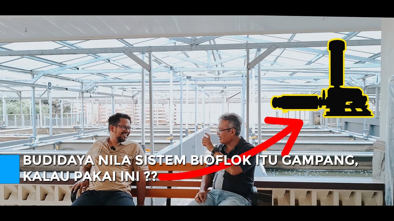 Apapun Budidayanya Sistem RAS, Bioflok, Semi Bioflok? Tetap Pakai Roots Blower Goldentech dan Futsu!