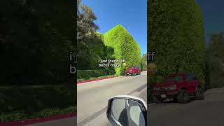 Jeff Bezos house is INSANE… #amazon #rich #jeffbezos