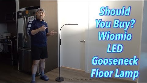 Should You Buy? Wiomio LED Gooseneck Floor Lamp