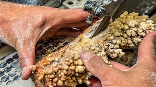Cutting “Bacon From Heaven” | The Best Stalactite I’ve Ever Cut Open!