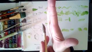 Glossary of Watercolor Techniques