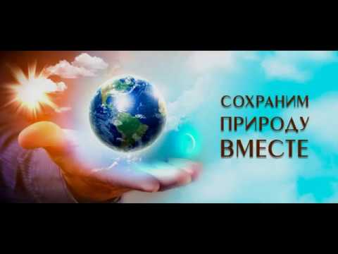 Влияние человека на прибрежную территорию реки Кубань в хуторе Прикубанском