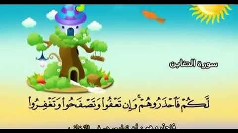 سورة التغابن ١٢-١٤