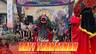 LAGU JARANAN ‼️ BAYI TRANTANAN || WULAN JNP || SRIJOYO PUTRO ORIGINAL LIVE BALETURI