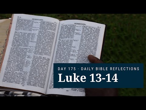 DAY 175 | Luke 13-14 | The Bible in A Year