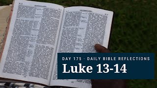 DAY 175 | Luke 13-14 | The Bible in A Year