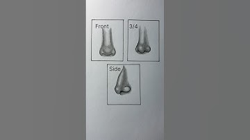 The art of nose -3 view #art #drawing #sketch #tutorial #shorts