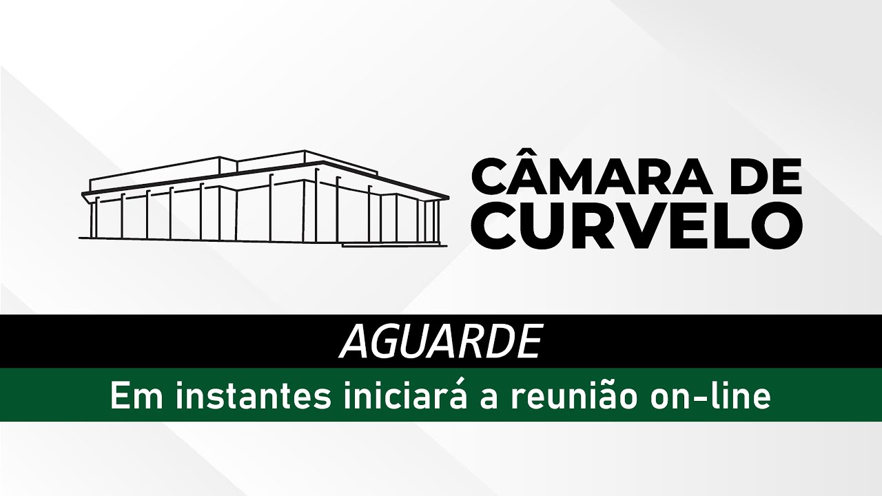 Fios e cabos soltos de internet na cidade - 15/01/2026 - Câmara Municipal de Curvelo