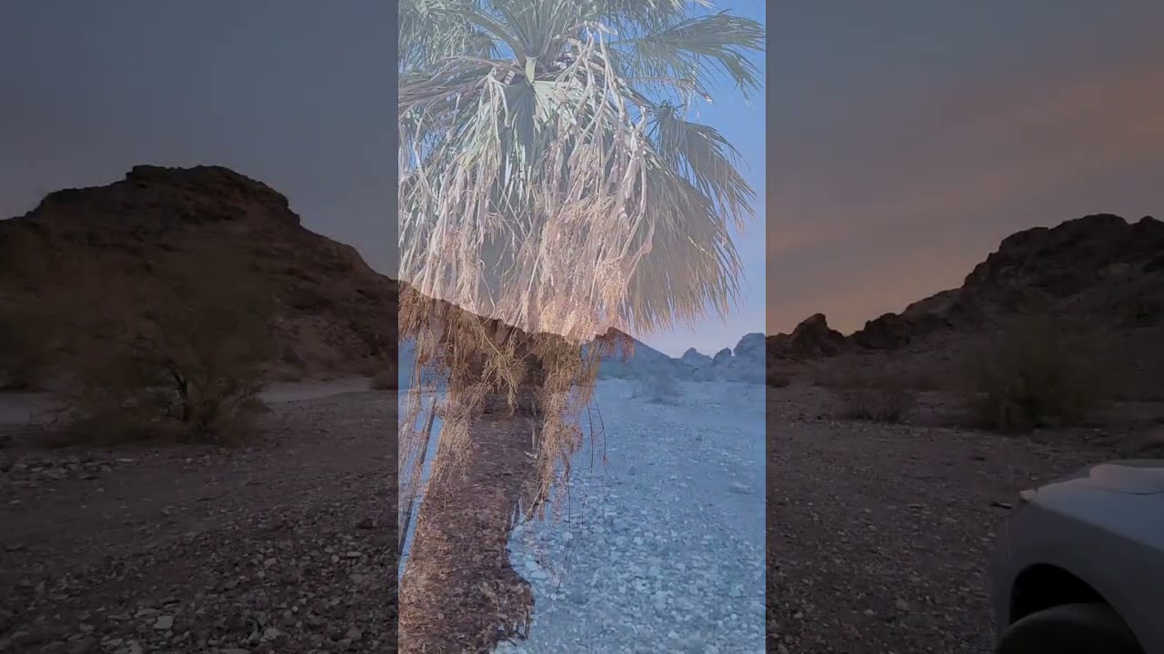 FREE vacations 😎 yes you can!