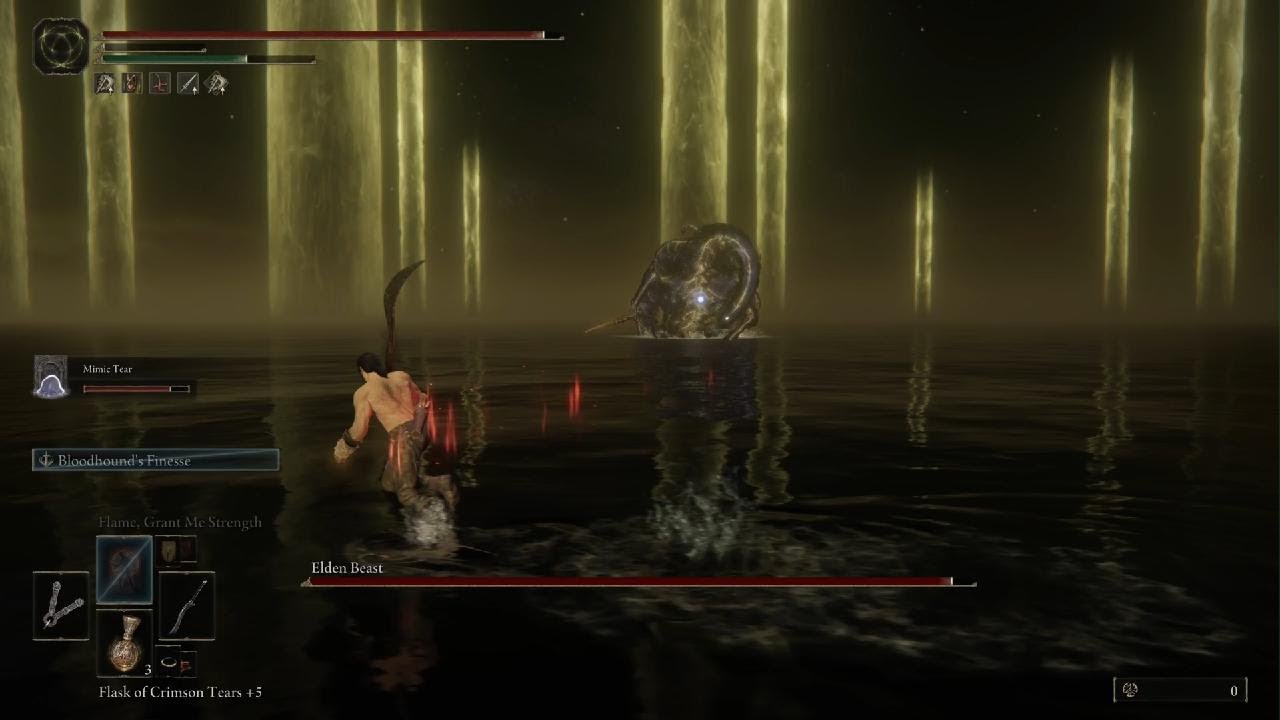 Elden Ring Radagon Struggle Session