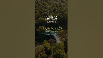 "تلاوة هادئة تريح القلب وتشرح الصدر#تلاوة_خاشعة #المصحف#quran