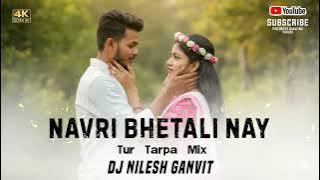 Navri Bhetali Nay ( new Gavthi song 2026 ) Tur Tarpa Mix Dj Nilesh Ganvit 