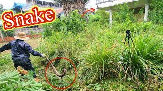 Two Old Ladies Very Shocked​ to See  Abandoned House ​​Full of Snakes and Weeds