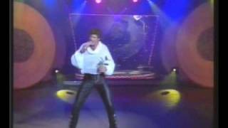 David Hasselhoff in the German TV-Show "Flitterabend"