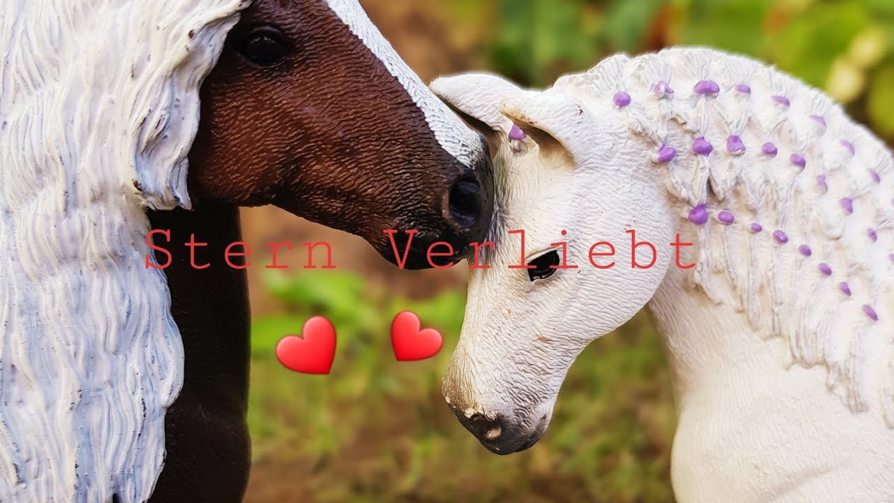 Der Wild Clan Folge 3 💜❤💛🐴