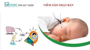 LướI ChốNg MuỗI Hà NộI IZI Home