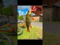 #bassfishing #carp #fishing #carpfishing #sportfishing #fish #angling #salmon #bass #pikefishing