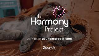 The Harmony Project