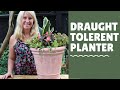 Easy to Plant - Hard to Kill. Planting with easy to find draught tolerant plants.