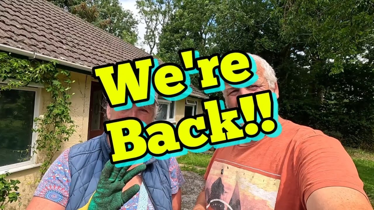 WE'RE BACK with a shed makeover at our renovation project West Wales vlog