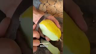 🌿 Dive into quick farming hacks with our bite-sized tips #farming #farm #plants #grafting