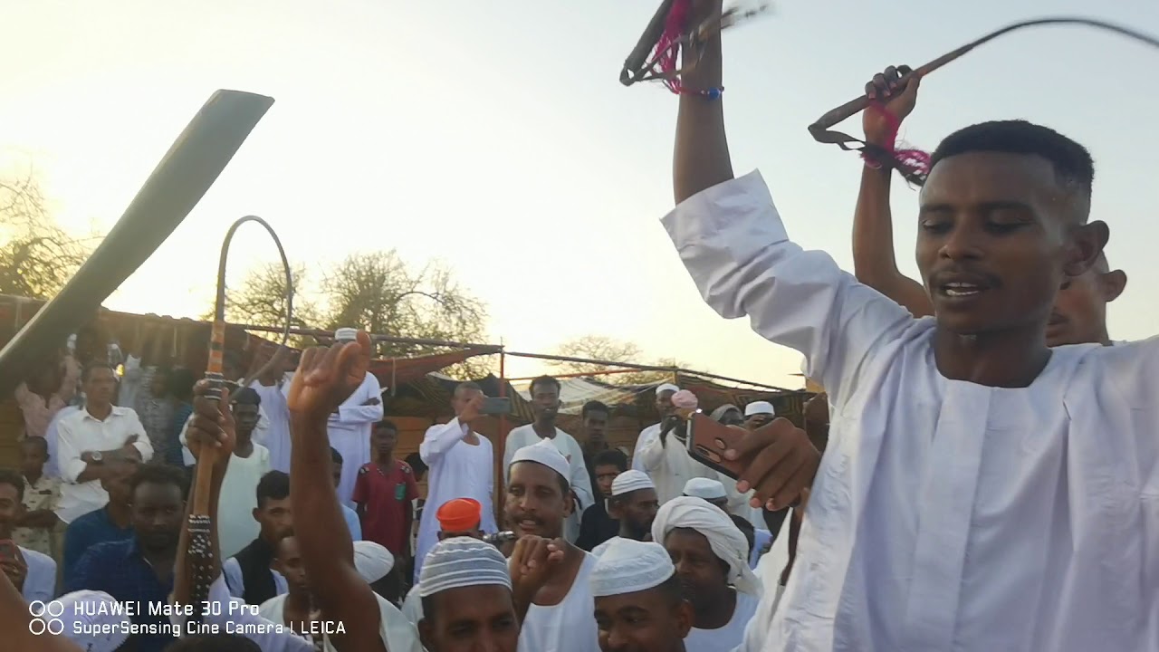 جديد محمد نايل