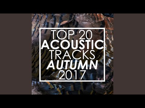 Steve Petrunak, Guitar Tribute Players - Perfect (Instrumental Version)